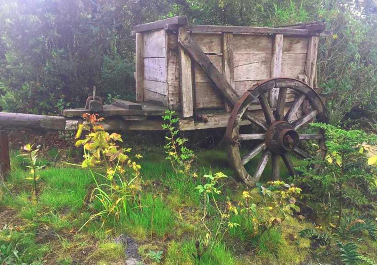 Cabanas Los Cantos Del Chucao Puerto Varas Esterno foto